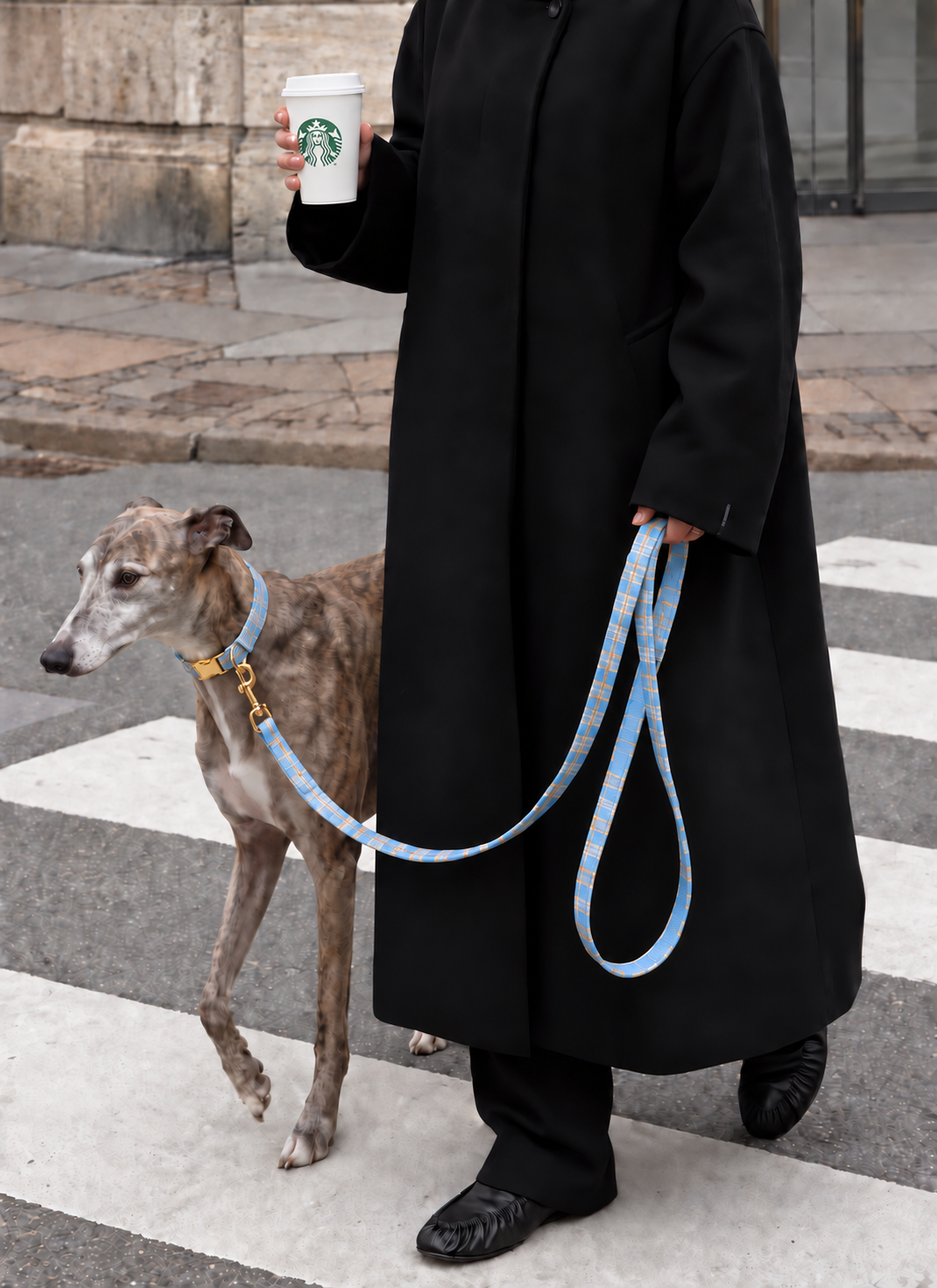 Laisse pour chien CHELSEA