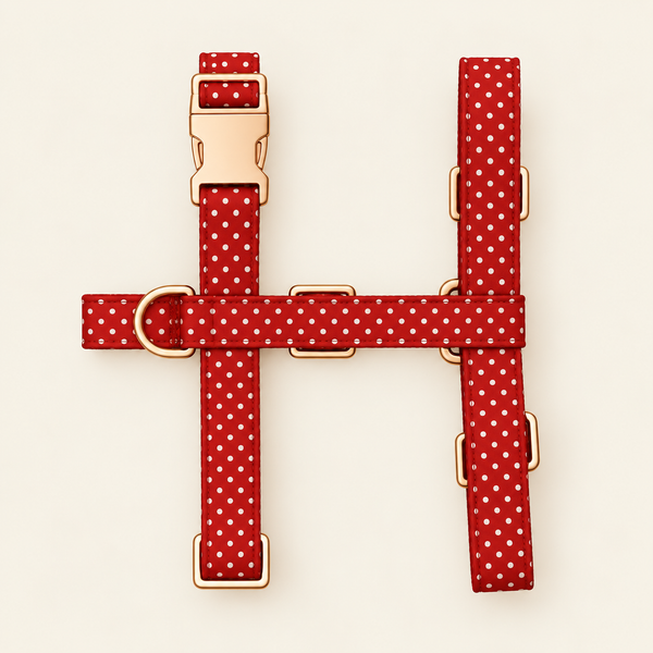Harnais pour chien DOTS