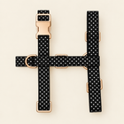 Harnais pour chien DOTS