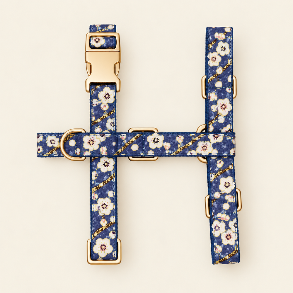 Harnais pour chien BLOOM