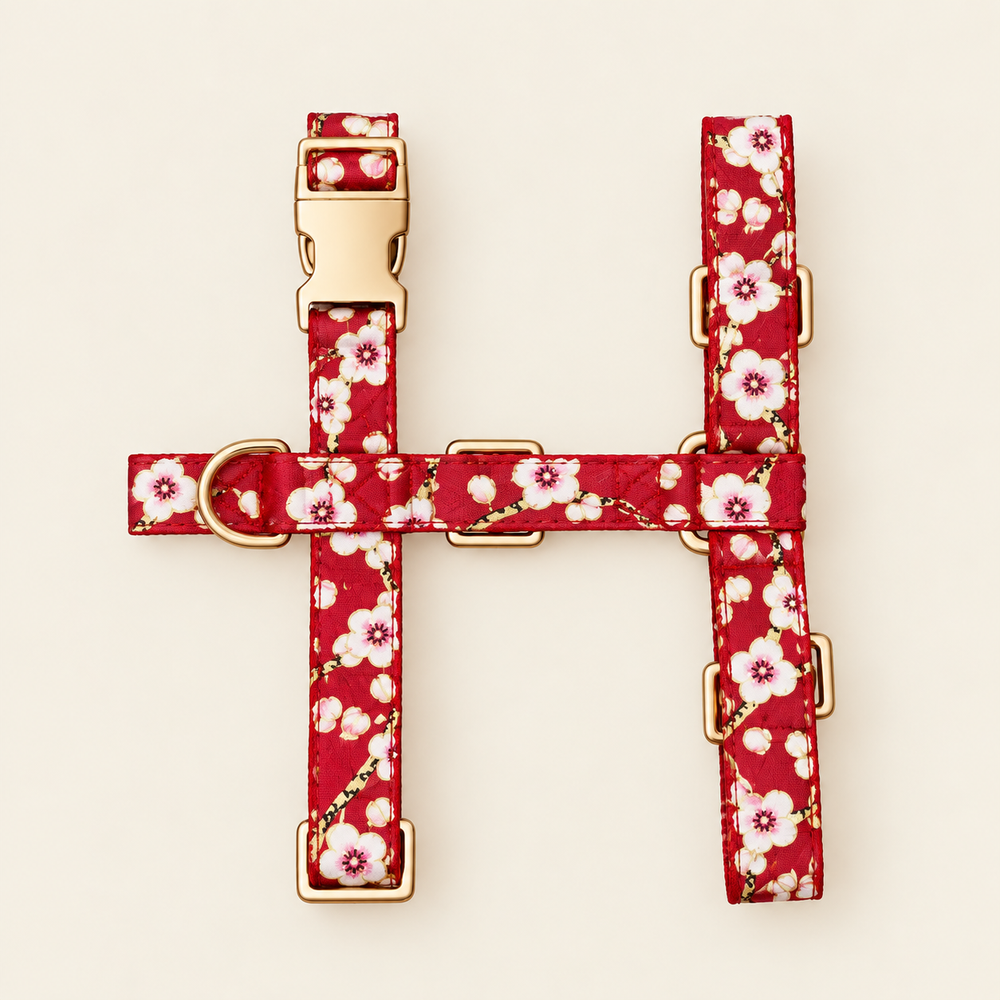 Harnais pour chien BLOOM