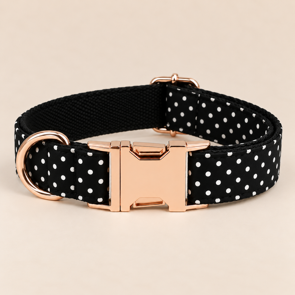 Collier pour chien DOTS