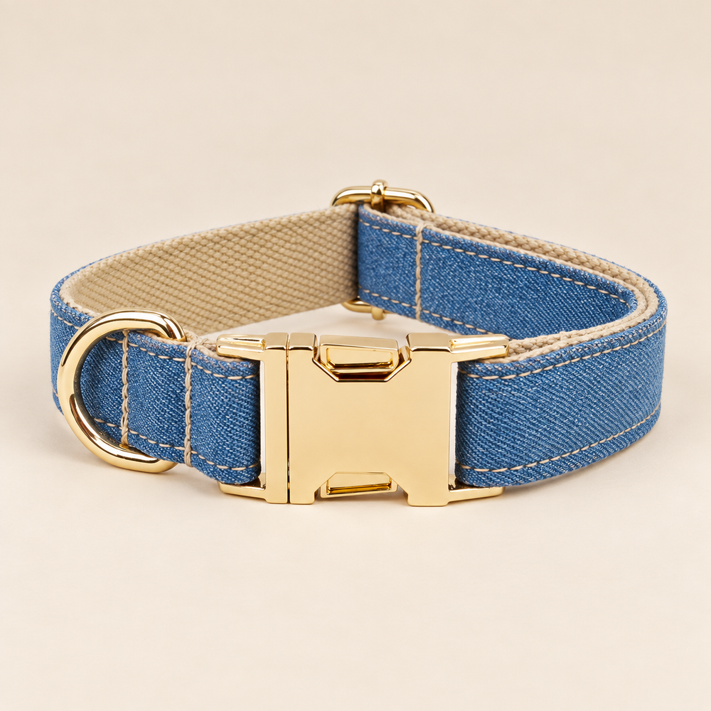 Collier pour chien JEANS