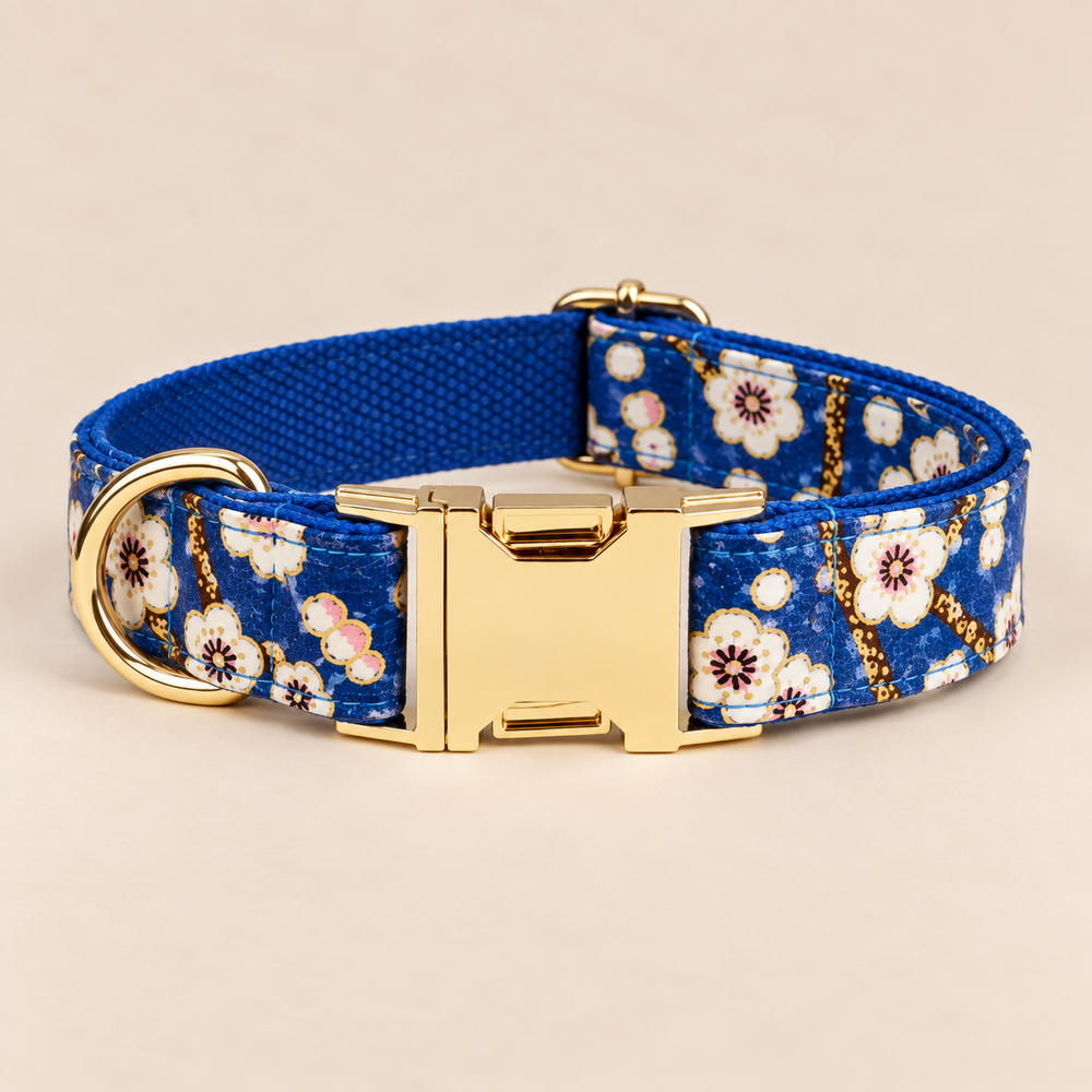 Collier pour chien BLOOM