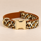 Collier pour chien LEO