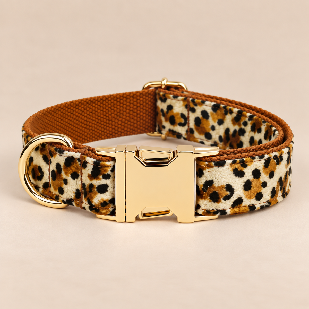 Collier pour chien LEO