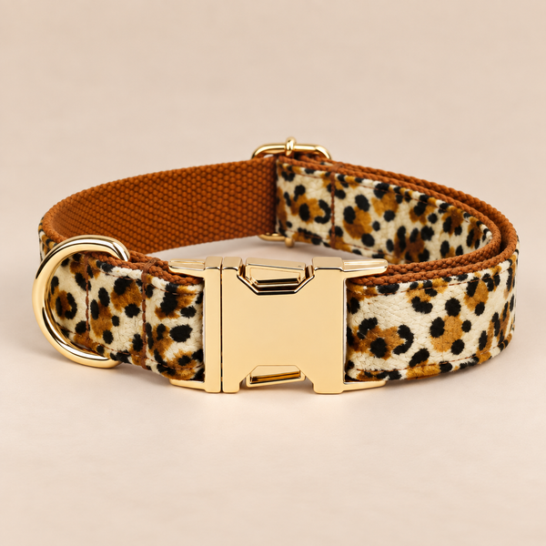 Collier pour chien LEO