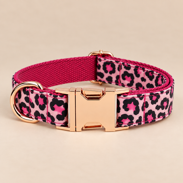Collier pour chien LEO