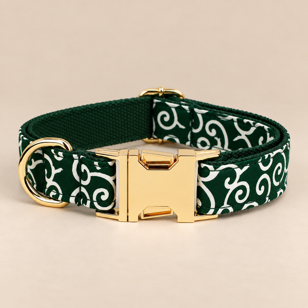 Collier pour chien EDEN