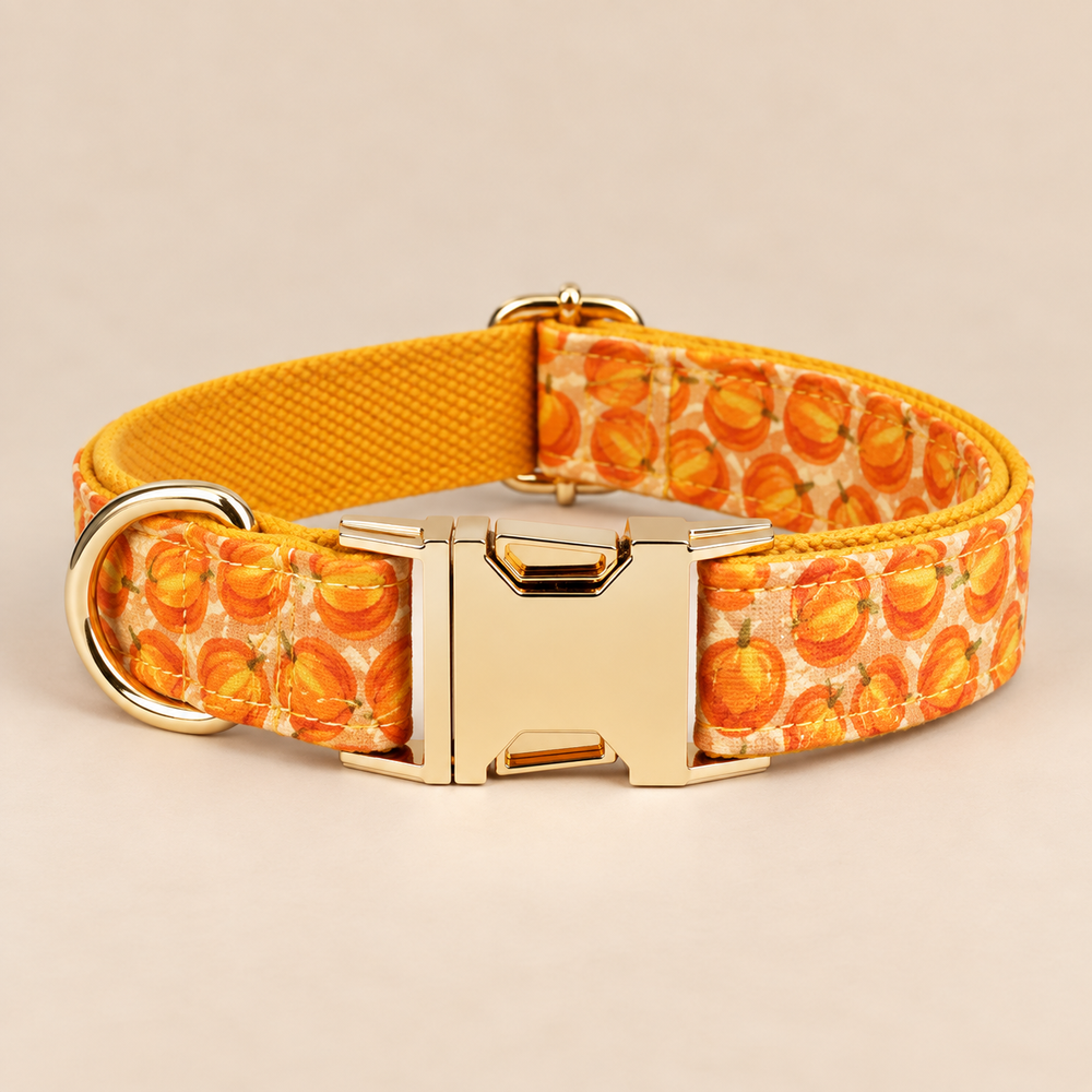 Collier pour chien PUMKIN