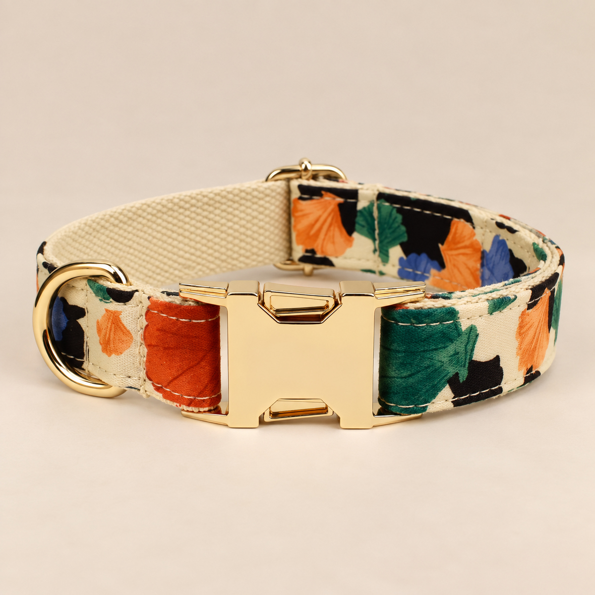 Collier pour chien FALL