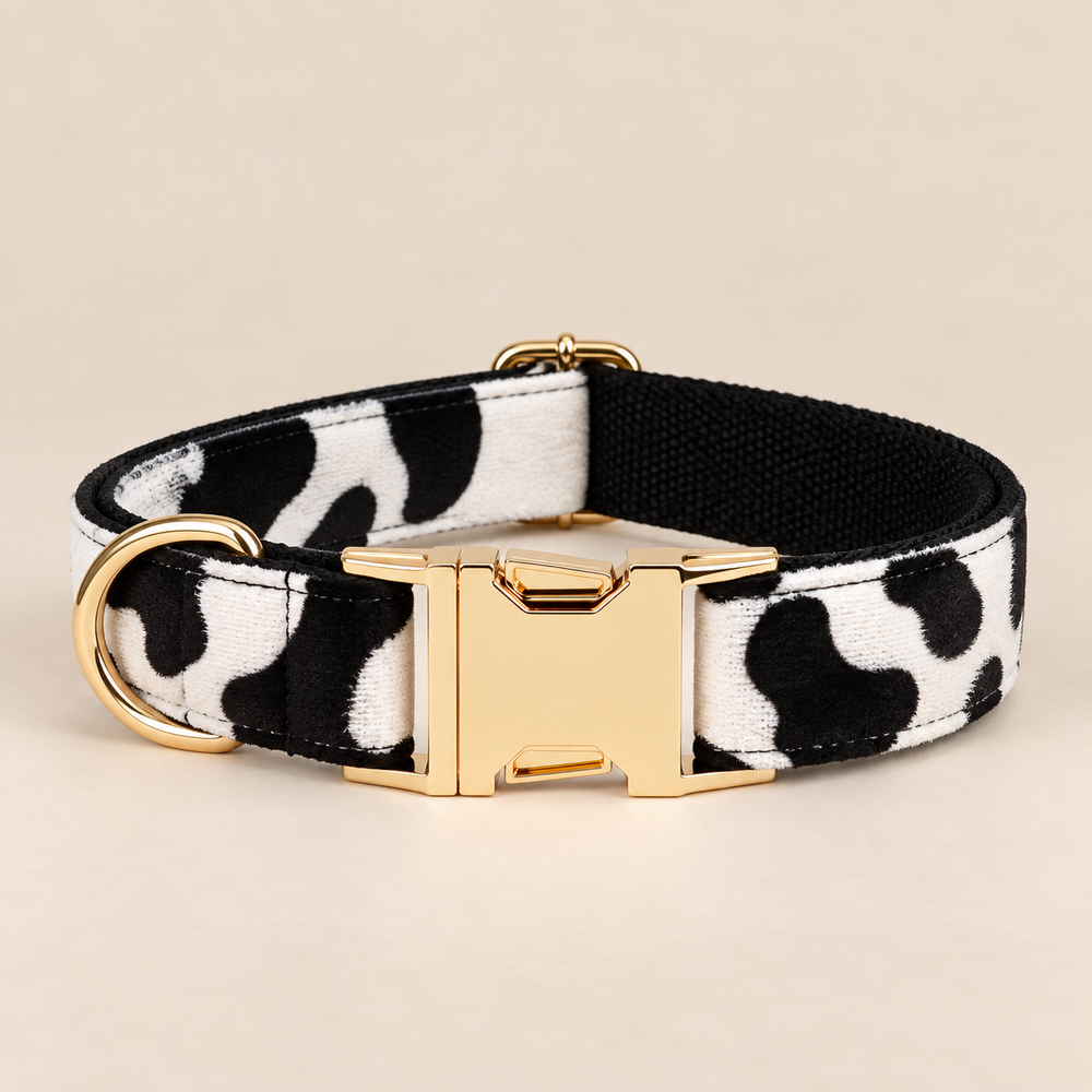 Collier pour chien MOO