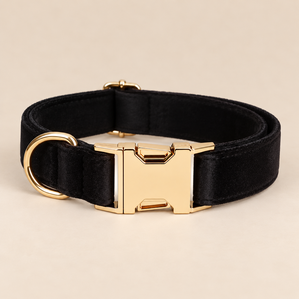 Collier pour chien VELVET