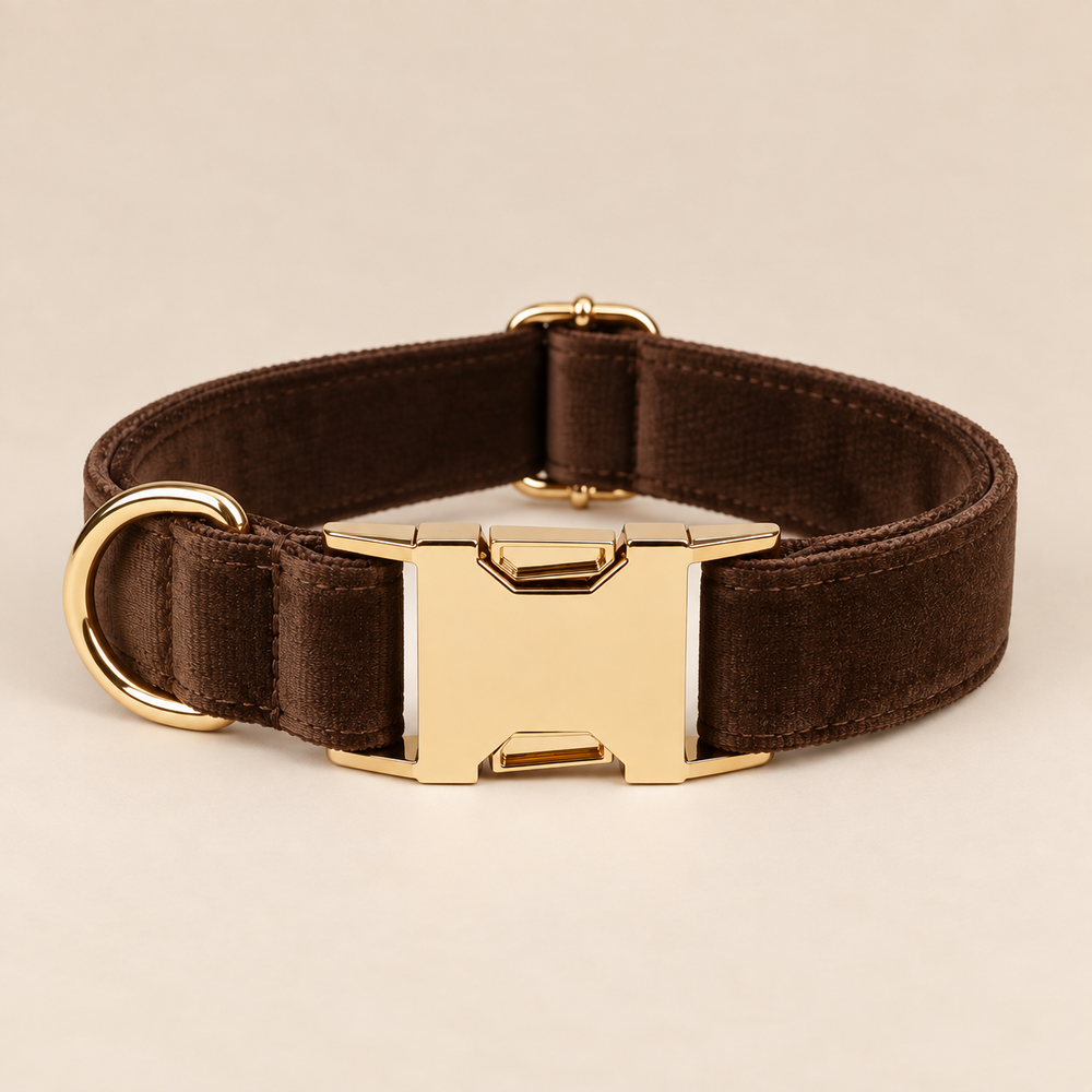 Collier pour chien VELVET