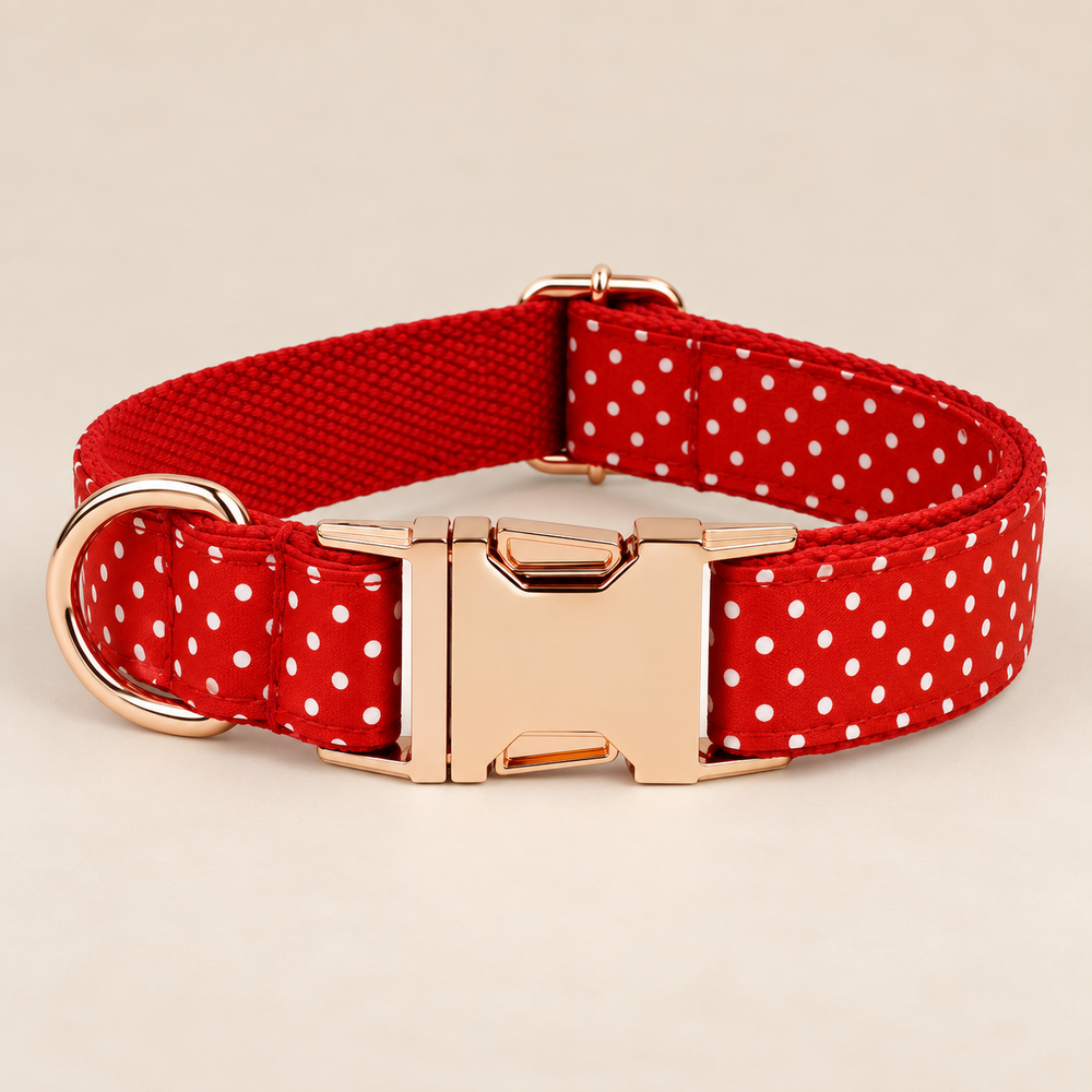 Collier pour chien DOTS