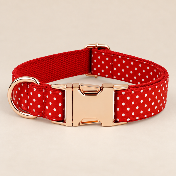 Collier pour chien DOTS