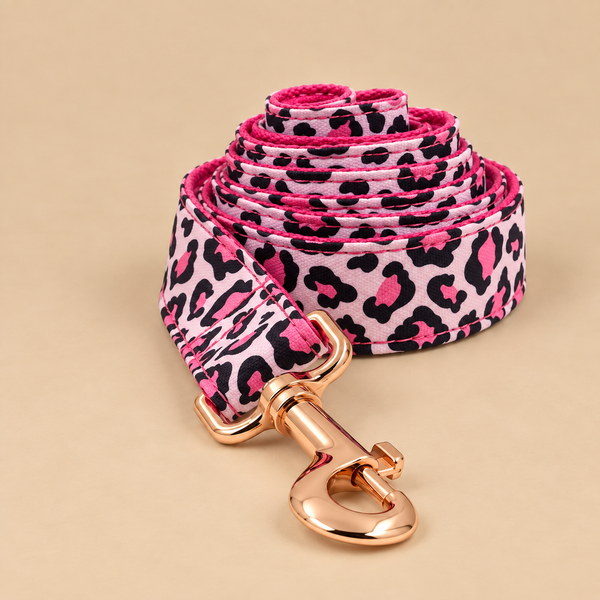 Laisse pour chien LEO