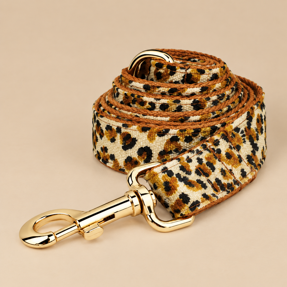 Laisse pour chien LEO
