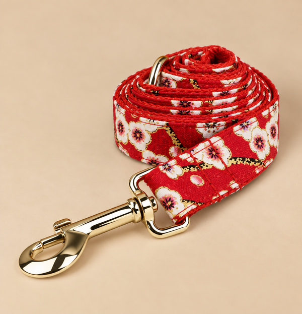 Laisse pour chien BLOOM