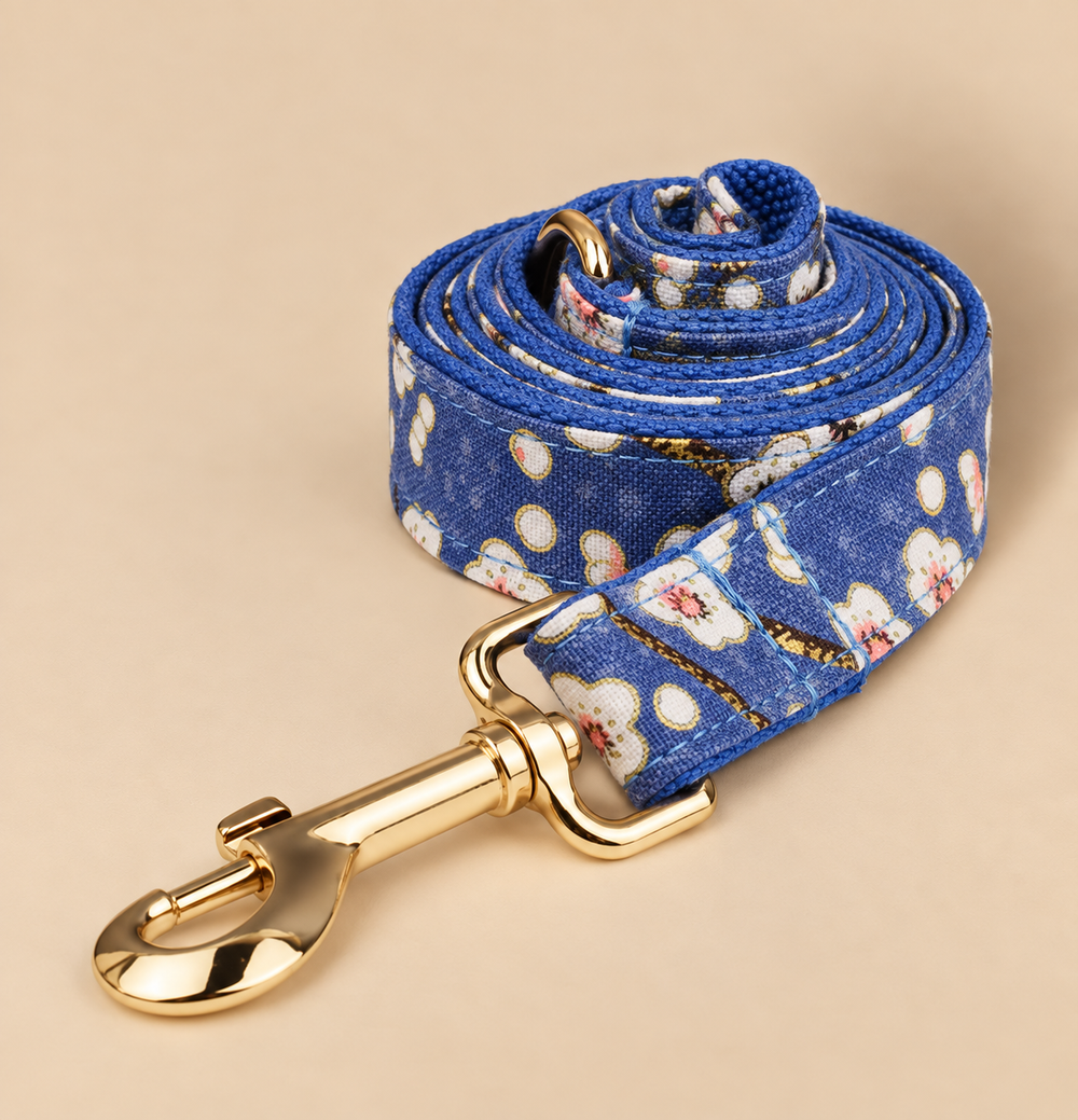 Laisse pour chien BLOOM