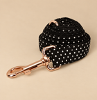 Laisse pour chien DOTS