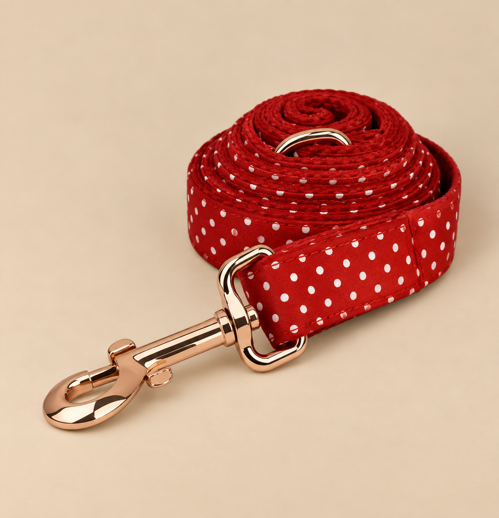 Laisse pour chien DOTS