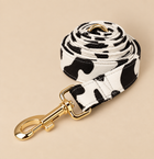 Laisse pour chien MOO