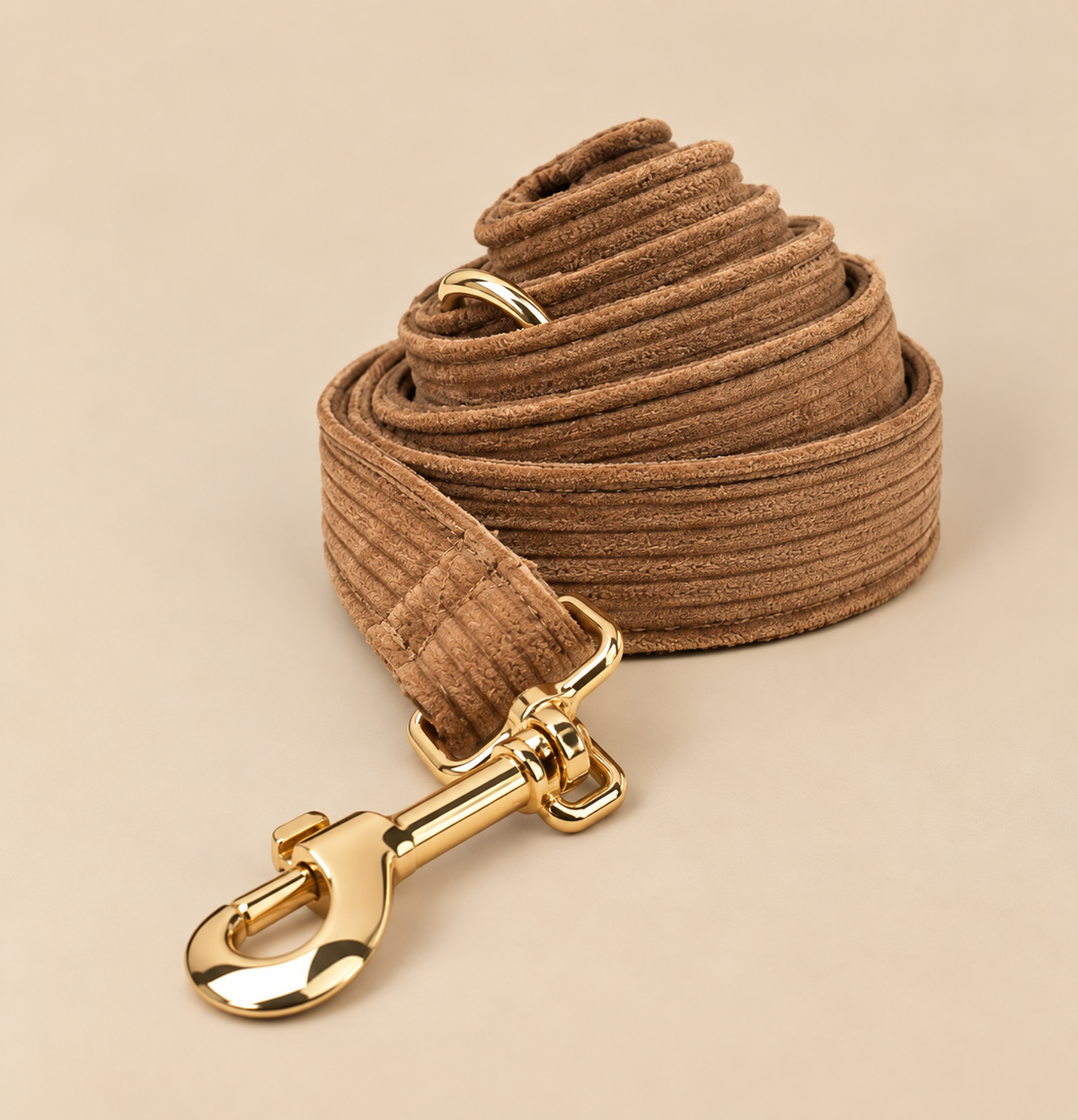 Laisse pour chien VELVET