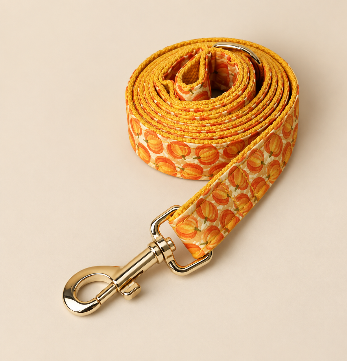 Laisse pour chien PUMKIN