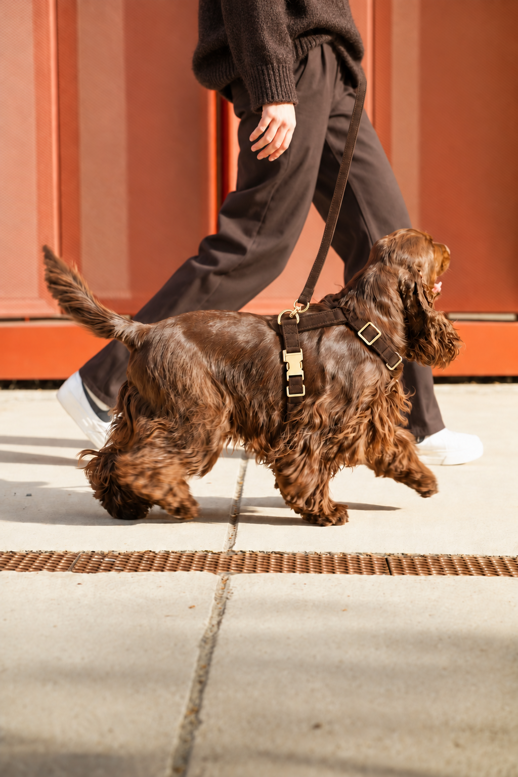 Dog harness VELVET