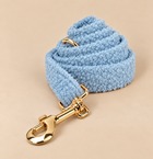 Laisse pour chien TEDDY Bleu