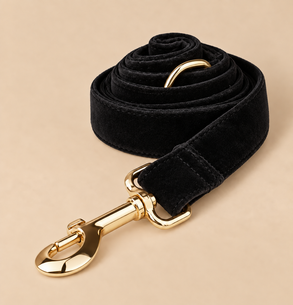 Laisse pour chien VELVET