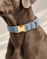 Hondenhalsband TEDDY Blauw