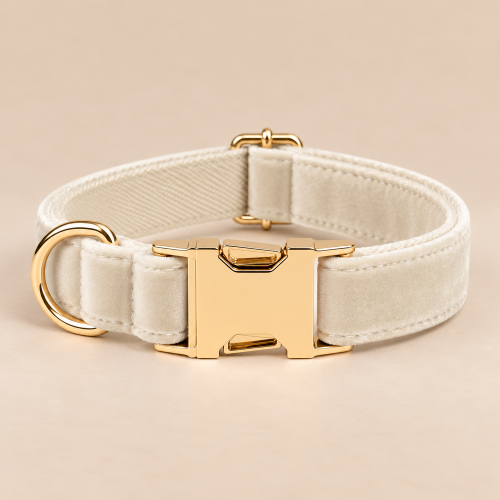Collier pour chien VELVET Crème