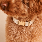Collier pour chien VELVET Crème